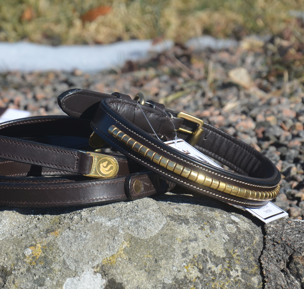Premium Collare per cane in natural tanned leather and classic clincher