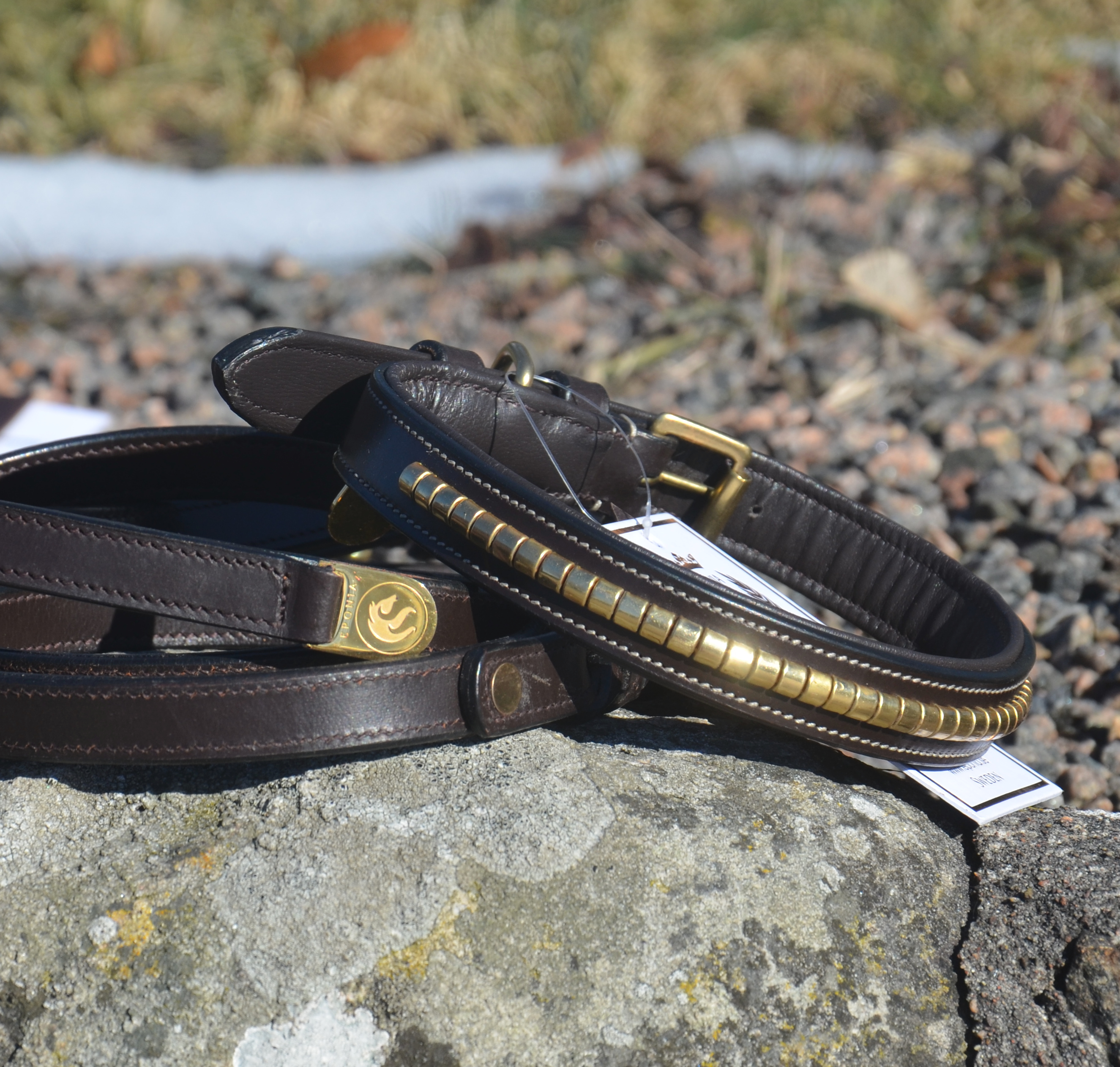 Premium Collare per cane in natural tanned leather and classic clincher