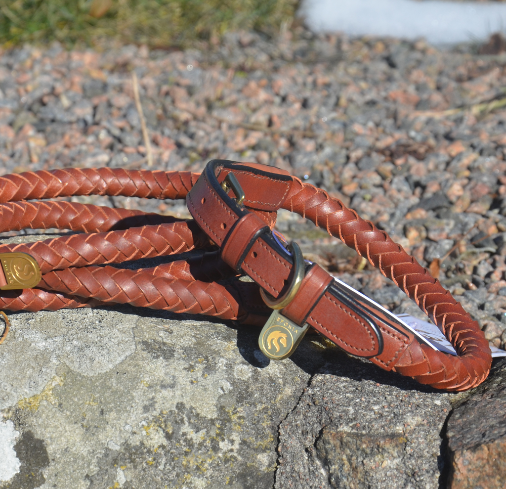 Premium Collare per cane in rounded natural tanned leather