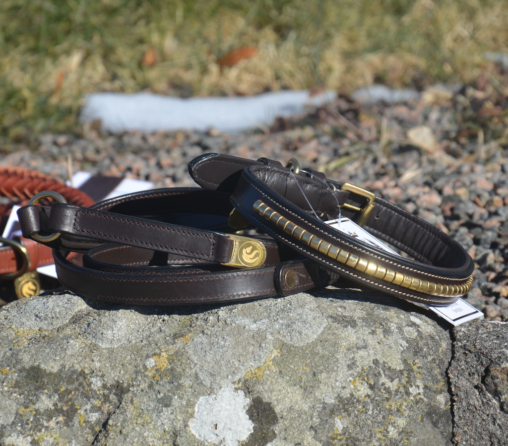 Premium Collare per cane in natural tanned leather and classic clincher