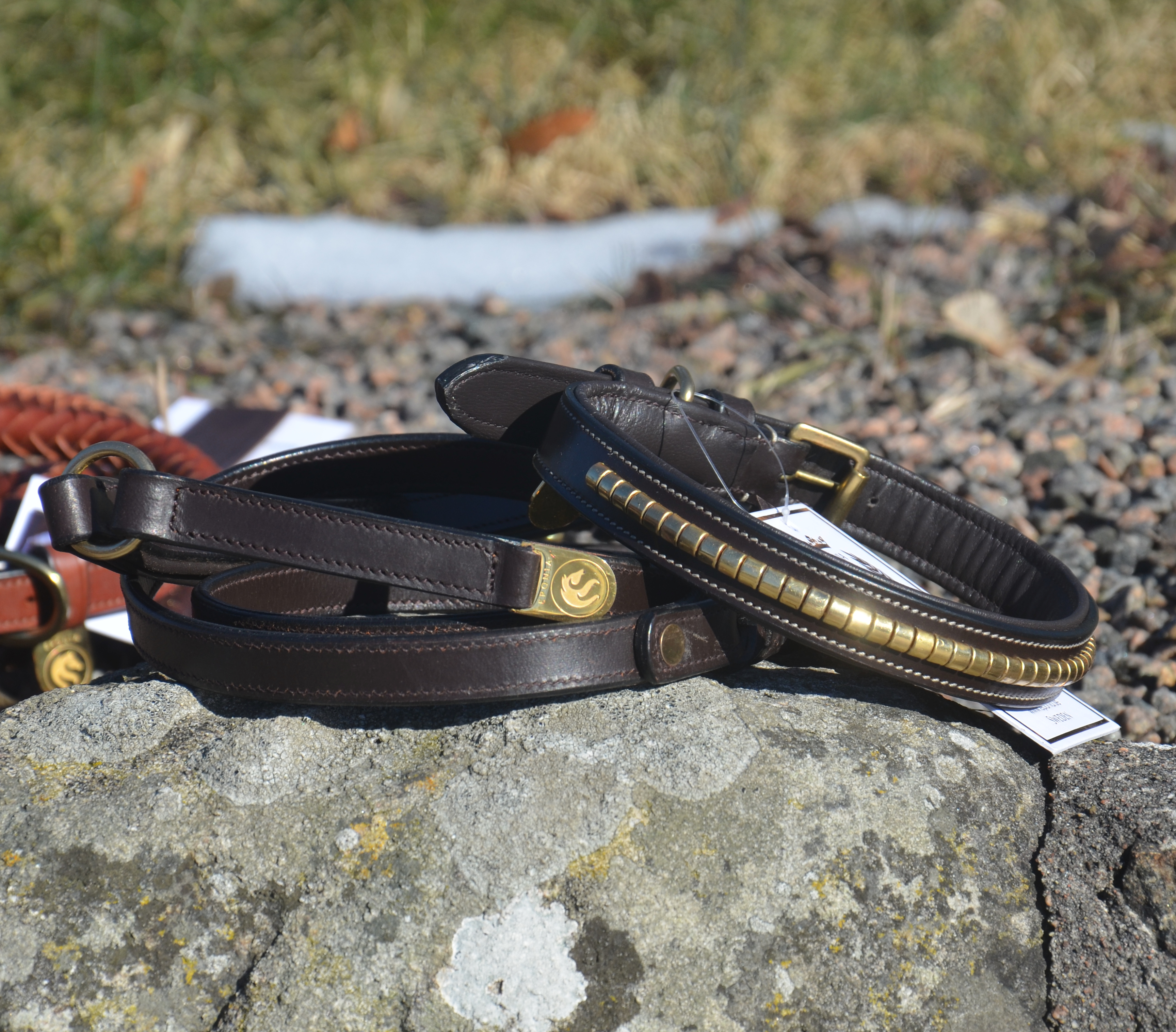 Premium Collare per cane in natural tanned leather and classic clincher