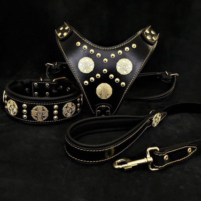 Set Maximus grande remaches de laton de arnes, collar y correa noir pour chien