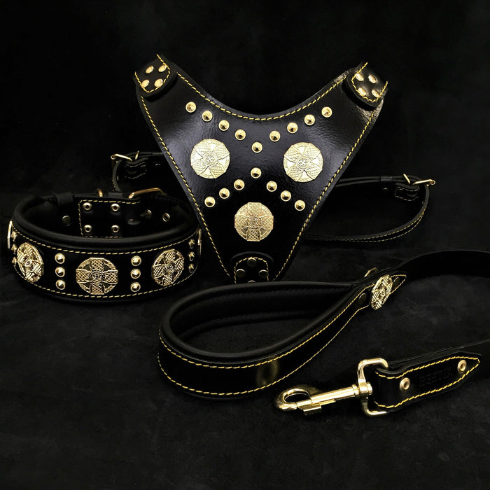Set Maximus de arnés, collar y correa negro y latón para perros grandes