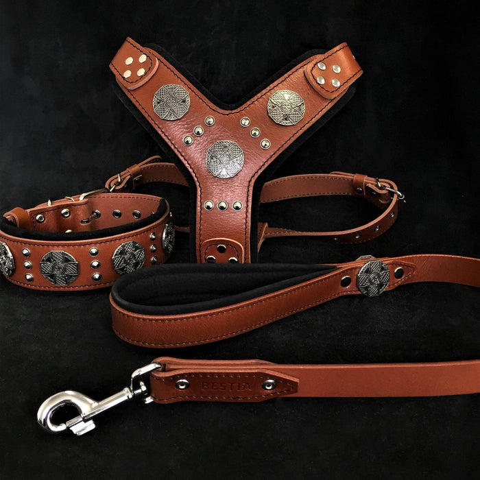 Set Maximus de arnés, collar y correa plateado y marrón para perros grandes
