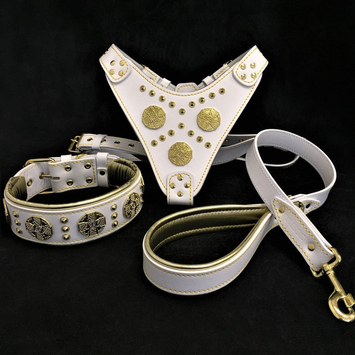 Set Maximus de arnés, collar y correa blanco y latón para perros grandes