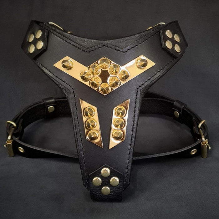 Harnais de chien en cuir ''Midas'' or taille moyenne