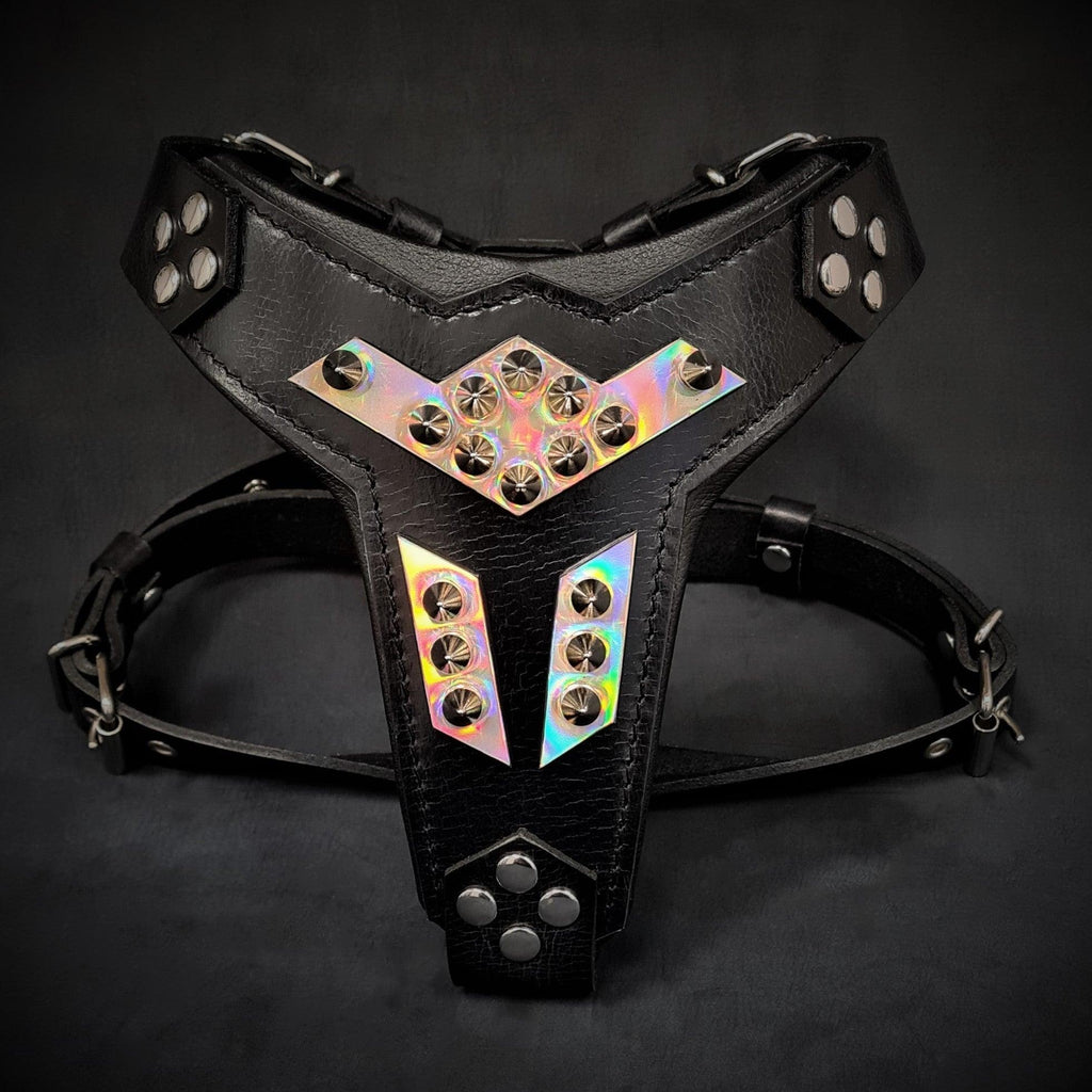 Hundegeschirr Midas Leder für Hunde