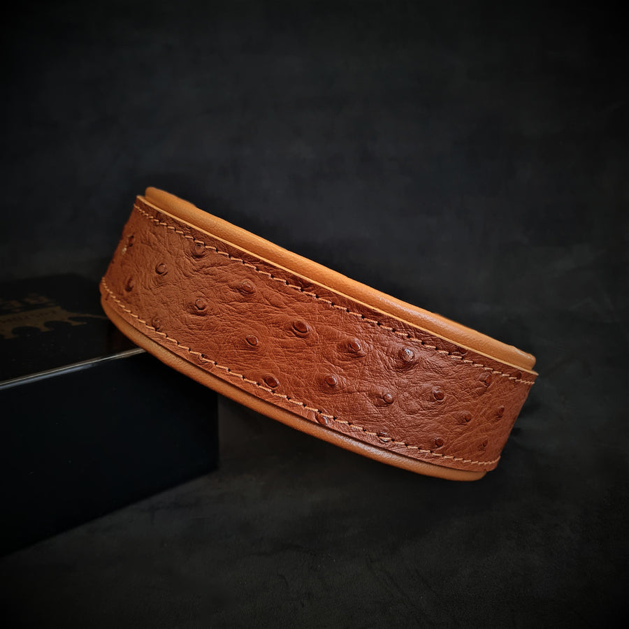 Collar Ostrich para perros