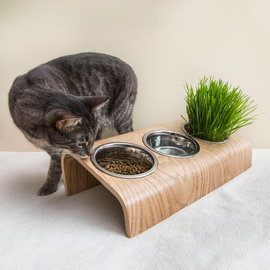 Griffoir en corde de madera Oak pour chiens et chats - image 1