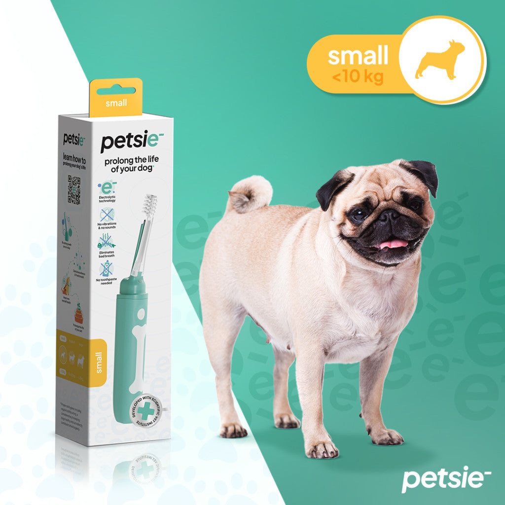 Jouet dentaire rojo pour chiens et chats - image 1