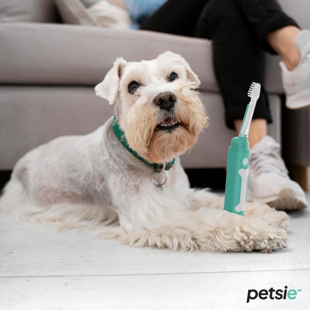 Jouet dentaire rojo pour chiens et chats - image 7
