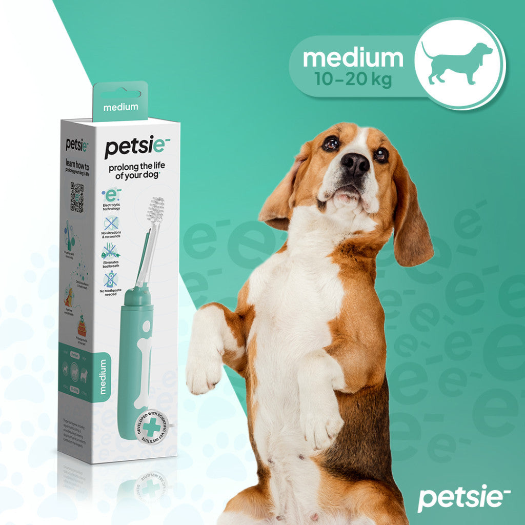 Juguete dental rojo para perros y gatos - imagen 1