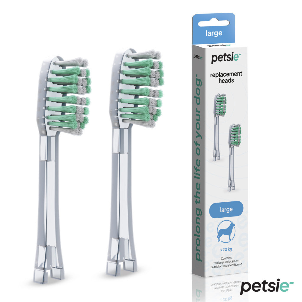 Accessoire de toilettage pour chiens - image 1
