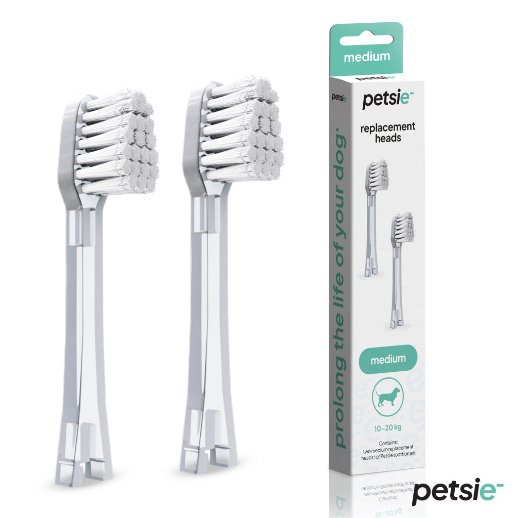 Accesorio de higiene para perros - imagen 1