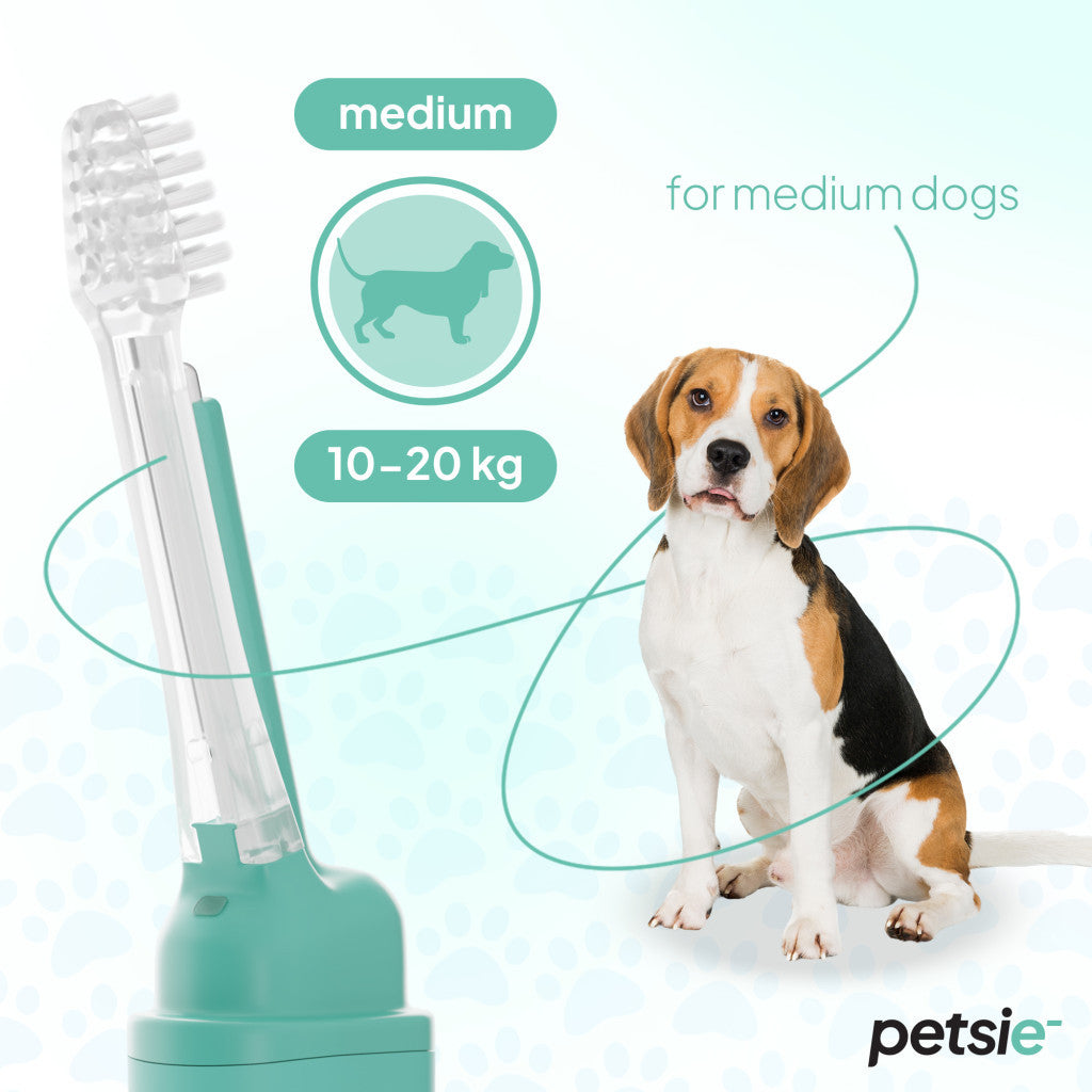 Accesorio de higiene para perros - imagen 2