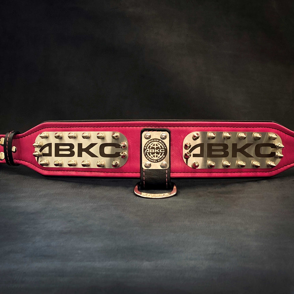 The ABKC Collar fuer Hunde - Bild 4