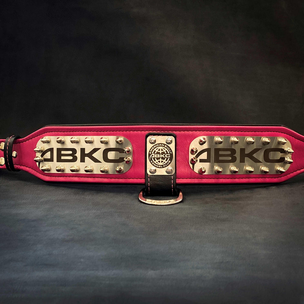 The ABKC Collar para perros - imagen 5
