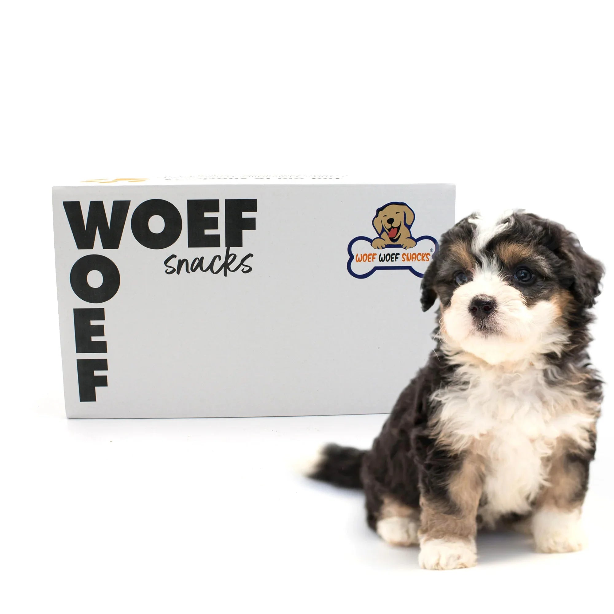 Puppy Box