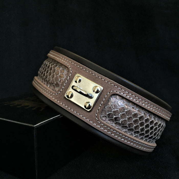 Set Python de diseño exclusivo para perros