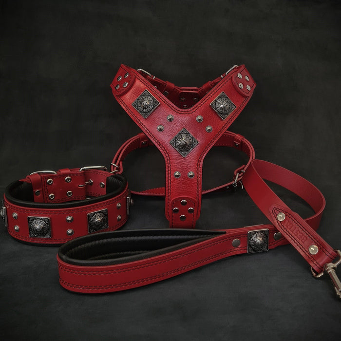 Set Eros de arnés, collar y correa rojo para perros grandes