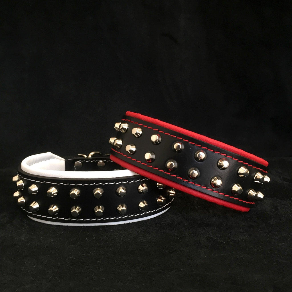 "Rocky" collar fuer Hunde