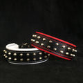 "Rocky" collar fuer Hunde