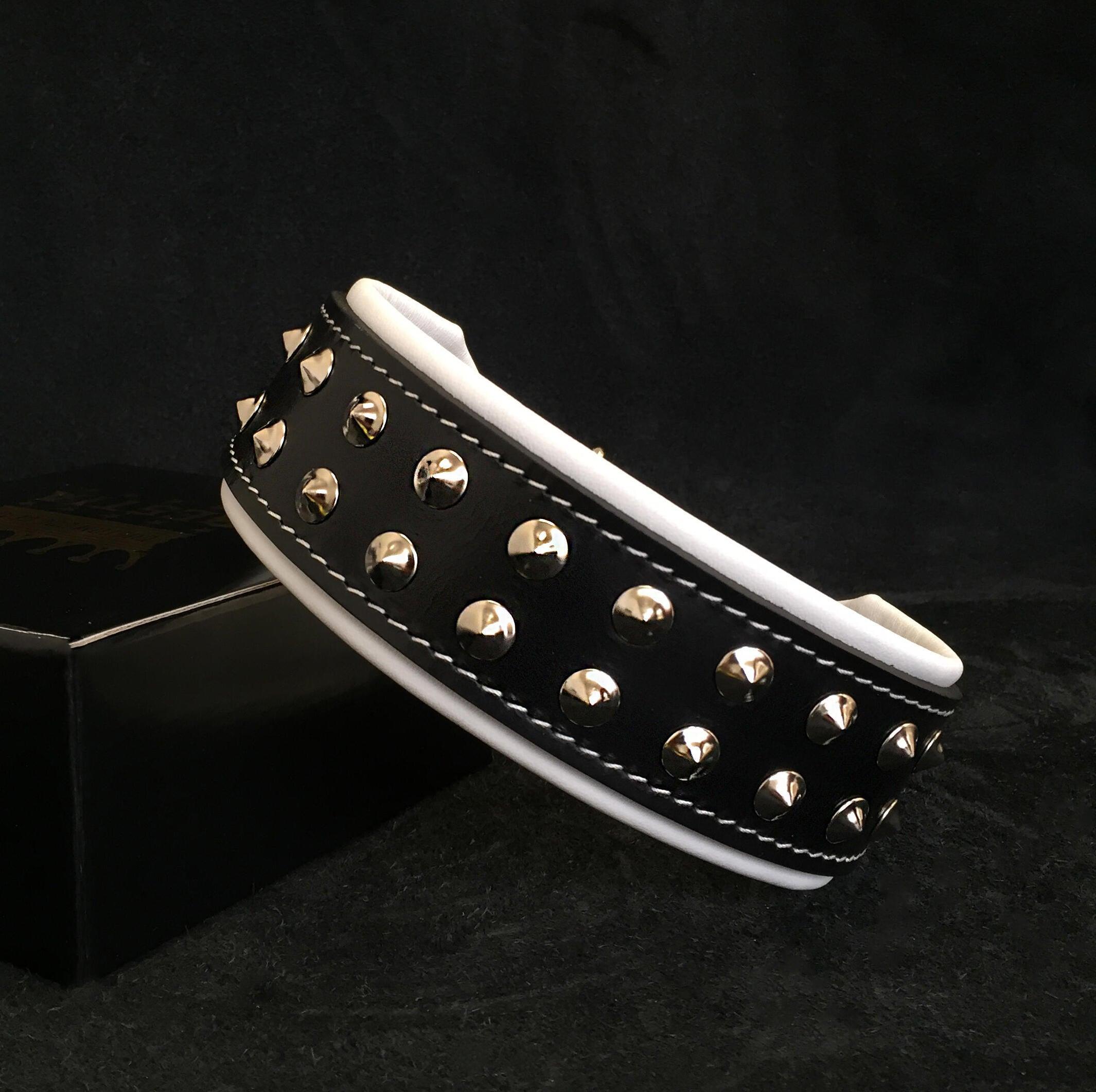 "Boston" collar para perros - imagen 1