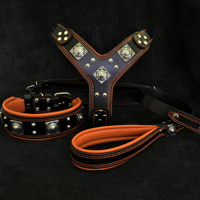 Set Eros de arnés, collar y correa negro y naranja para perros grandes