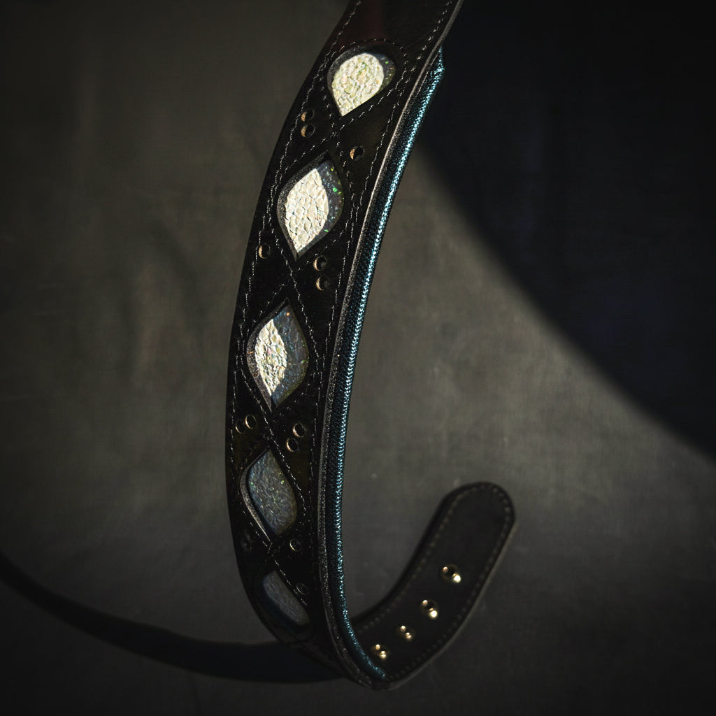 The Avatar Collar para perros - imagen 1