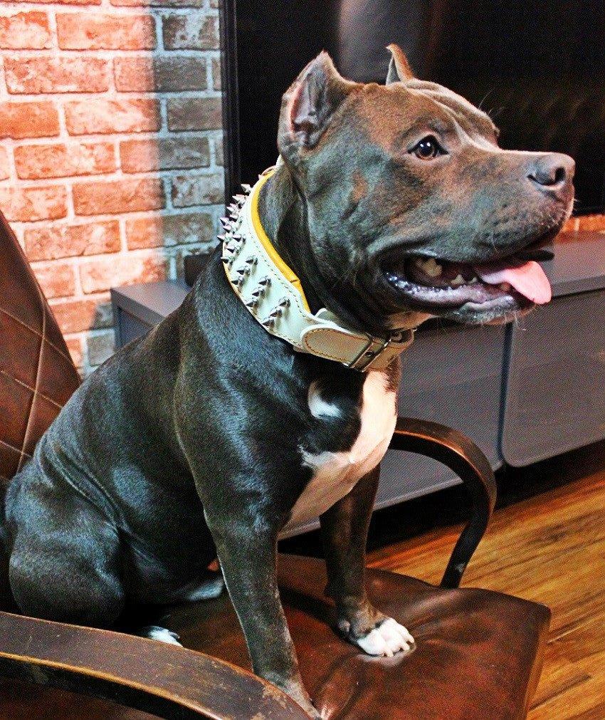Silver Giant White blanco y plateado para perro