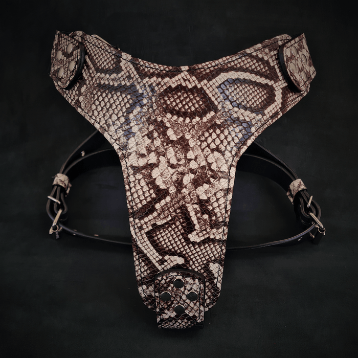 Le harnais "Rock Python"