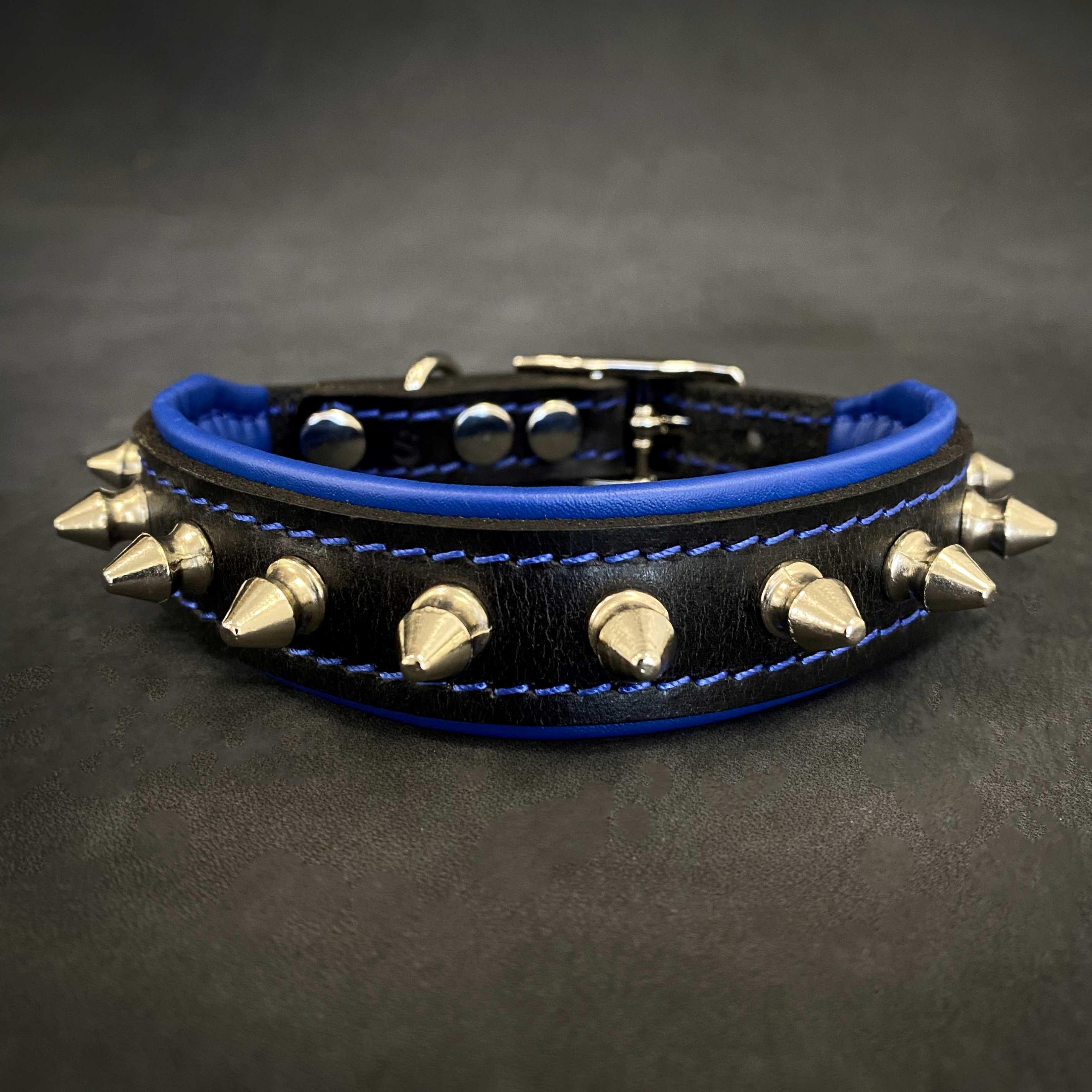 Spiky para perro