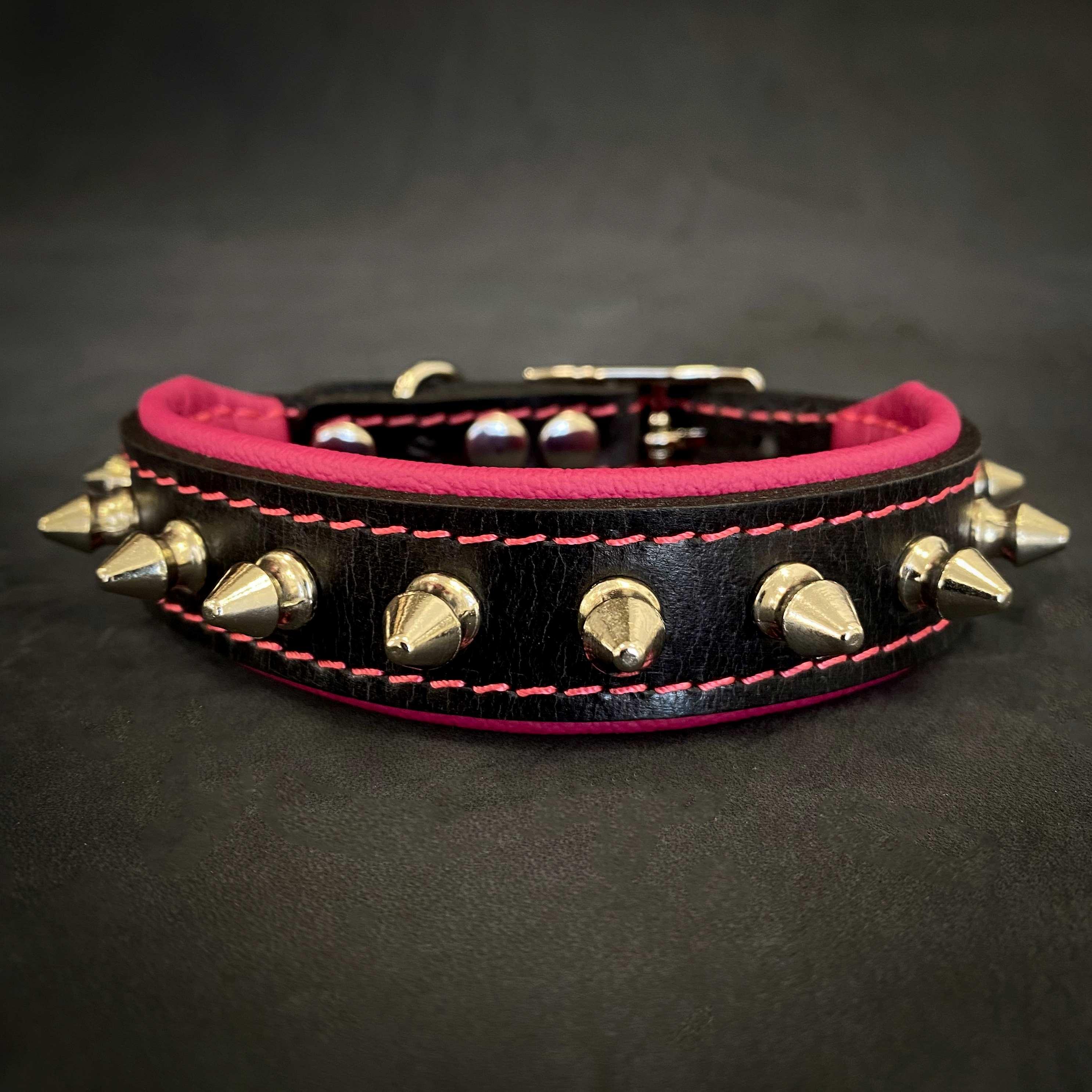 Spiky para perro