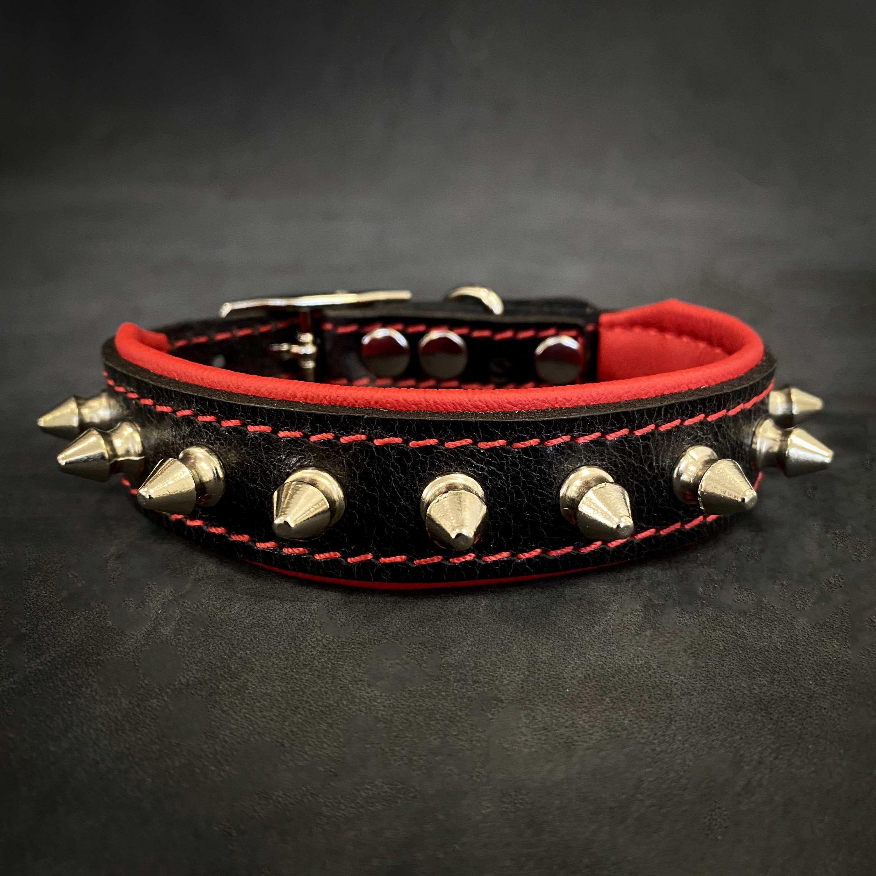 Spiky para perro