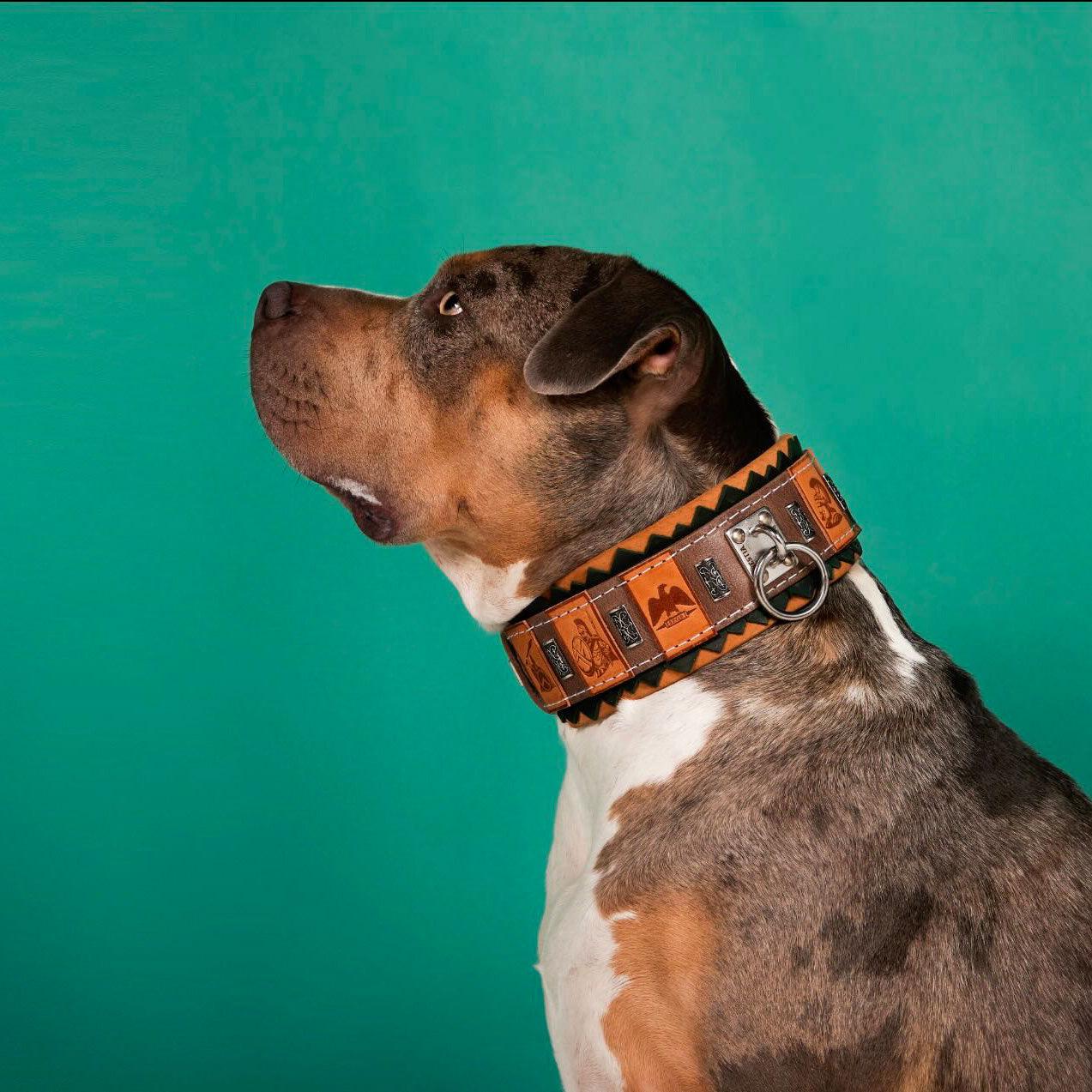 The ''SPQR'' Collare per cane