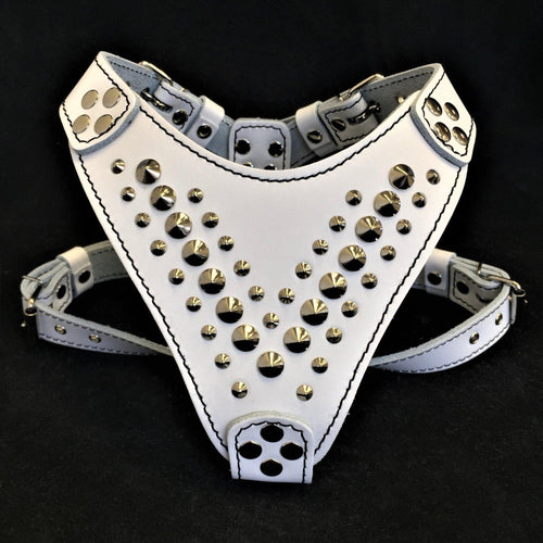 ''Star'' Harness Small to Medium size fuer Hunde - Bild 1