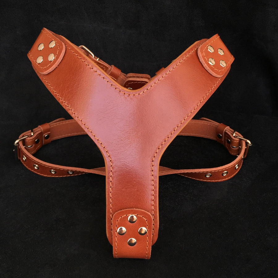Arnés Style marrón para perros