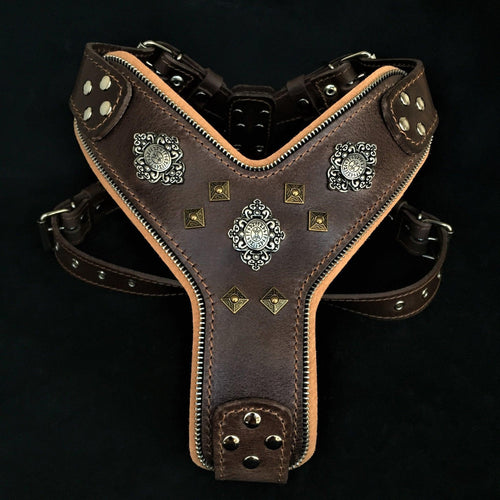 Arnés Aztec para perros grandes