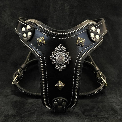The ''Aztec'' harness Black Small to Medium Size for dogs - image 1