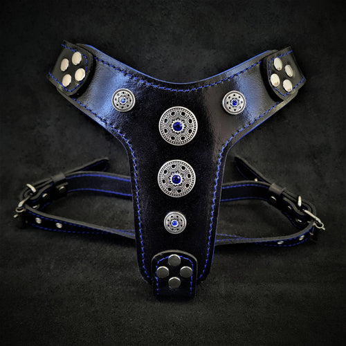 The ''Bijou'' harness Black & Blue Small to Medium Size fuer Hunde - Bild 1