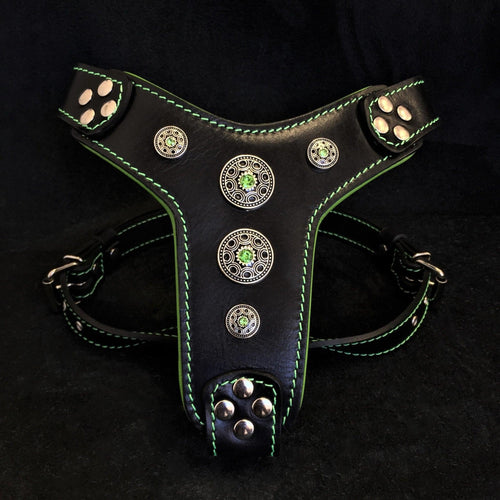 Arnés Bijou negro y verde para perros