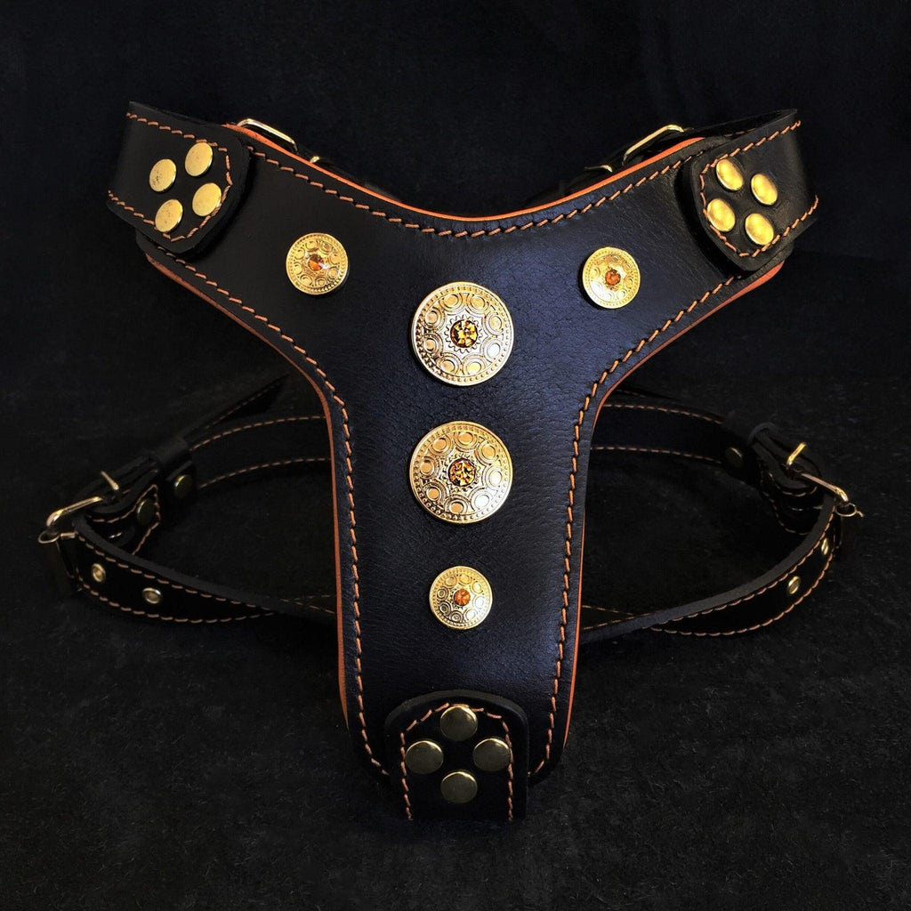 The ''Bijou'' harness Black & Orange Small to Medium Size fuer Hunde