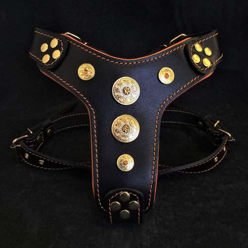 Arnés Bijou negro y naranja para perros