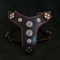 The ''Bijou'' harness Black & Pink Small to Medium Size para perros y gatos