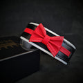 The "Bowtie" collar black pour chiens - image 1