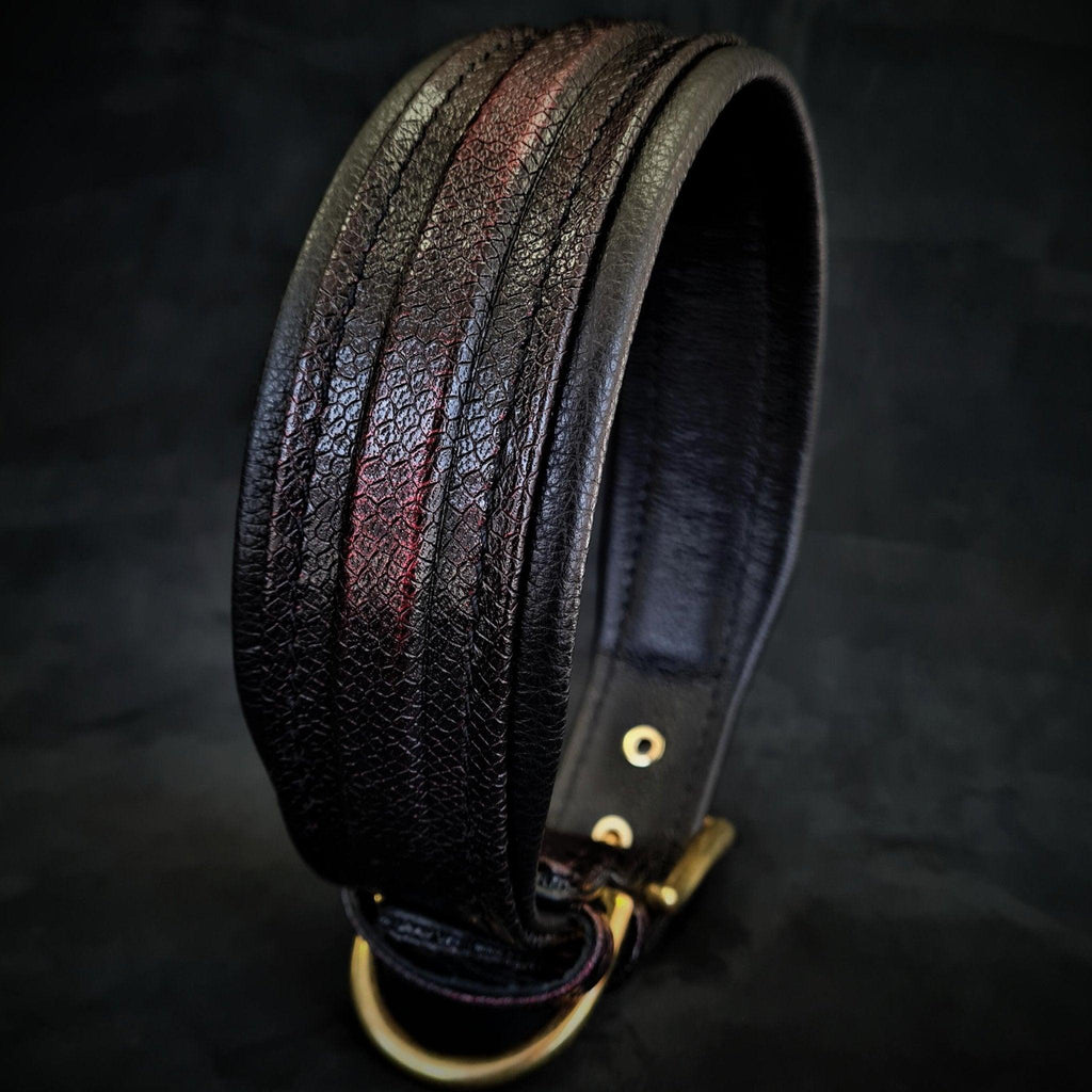 The ''Cobra'' collar pour chiens et chats