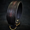 The ''Cobra'' collar pour chiens et chats