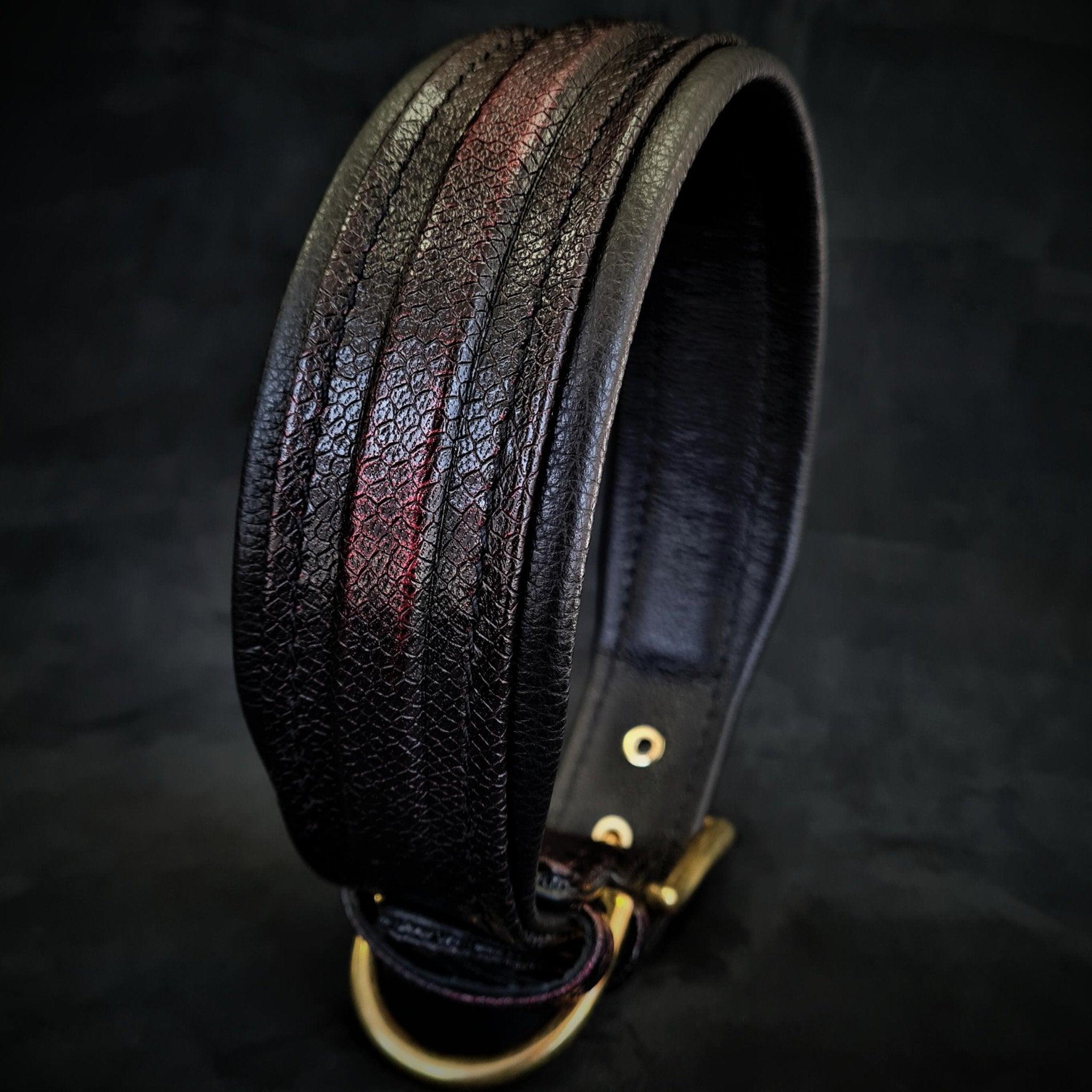 The ''Cobra'' collar pour chiens et chats