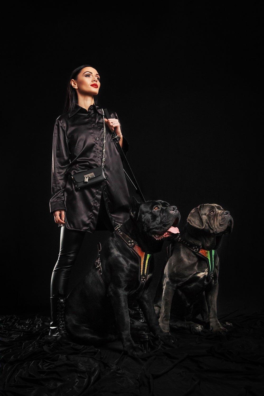 The ''D`Albertis'' harness LIMITED fuer Hunde und Katzen