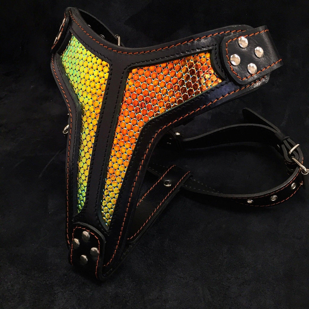 The ''D`Albertis'' harness LIMITED fuer Hunde und Katzen
